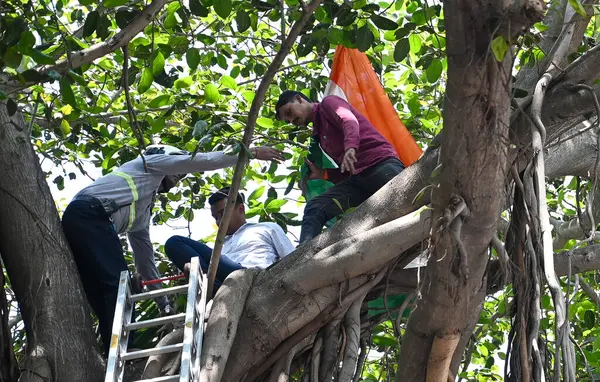 MUMBAI, INDIA - 26 Mart 2025: Beed ilçesinden bir çiftçi olan Ishwar Shinde, Mumbai Nariman Point 'te Vidhan Bhavan' ın önündeki ağaca tırmanarak dramatik bir protesto gerçekleştirdi..