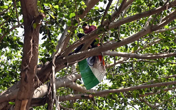 MUMBAI, INDIA - 26 Mart 2025: Beed ilçesinden bir çiftçi olan Ishwar Shinde, Mumbai Nariman Point 'te Vidhan Bhavan' ın önündeki ağaca tırmanarak dramatik bir protesto gerçekleştirdi..