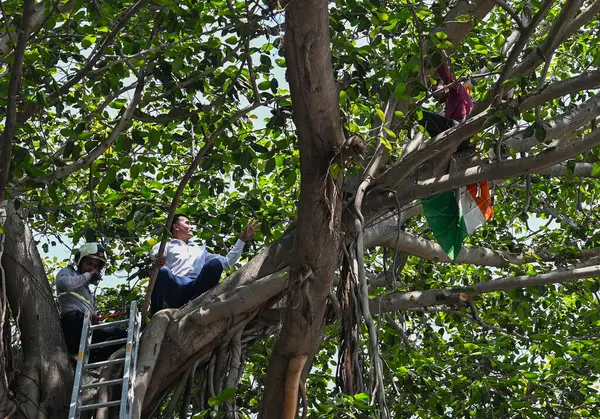 MUMBAI, INDIA - 26 Mart 2025: Beed ilçesinden bir çiftçi olan Ishwar Shinde, Mumbai Nariman Point 'te Vidhan Bhavan' ın önündeki ağaca tırmanarak dramatik bir protesto gerçekleştirdi..