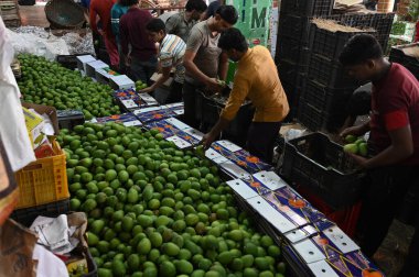 NAVI MUMBAI, INDIA - 30 Mart 2025: 40.000 kutu mango Gudi Padwa vesilesiyle APMC 'ye geldi. Gudi Padwa' nın uğurlu gününde, 30 Mart 2025 tarihinde Navi Mumbai, Hindistan 'da bulunan Navi Mumbai' de ihraç edilmeye hazır..