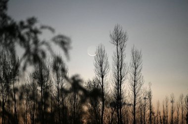 SRINAGAR, INDIA - 30 Mart 2025 'te Hindistan' ın Srinagar kentinde Srinagar 'dan görülen hilal ay manzarası. 