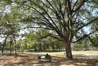 NEW DELHI, INDIA - 5 Nisan 2025 tarihinde Yeni Delhi, Hindistan 'da sıcak öğleden sonra boyunca Nehru Park, Chanakyapuri' yi ziyaret edenler.