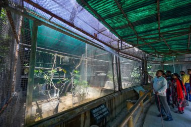 NEW DELHI INDIA 7 Nisan 2025 Kuşlar Delhi Hayvanat Bahçesi 'nde sert güneşli bir öğleden sonra 7 Nisan 2025' te Yeni Delhi Hindistan 'da duş alıyor. Delhi bu yaz hayvanat bahçesi bakıcıları hayvanlar üzerindeki etkisini azaltmak için çeşitli adımlar atıyorlar.