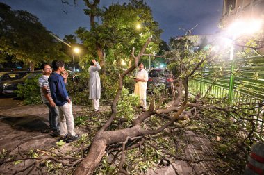 NEW DELHI, INDIA - 11 Nisan 2025: A, Mandi House 'daki şiddetli toz fırtınasından sonra arabaların üzerine düştü, 11 Nisan 2025 tarihinde, Yeni Delhi, Hindistan' da. Şiddetli kum fırtınaları ve şiddetli rüzgarları Cuma akşamı başkente yağan yağmur izliyor..