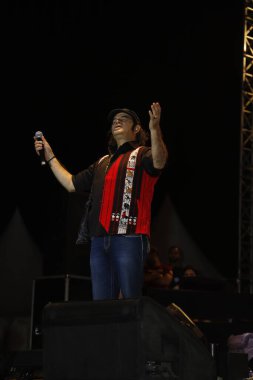NEW DELHI, INDIA - 28 Mart 2025: Bollywood şarkıcısı Mohit Chauhan, Hindistan 'ın Yeni Delhi kentinde 28 Mart 2025 tarihinde Indira Gandhi Delhi Teknik Üniversitesi' nin yıllık kültür festivalinde sahne aldı..