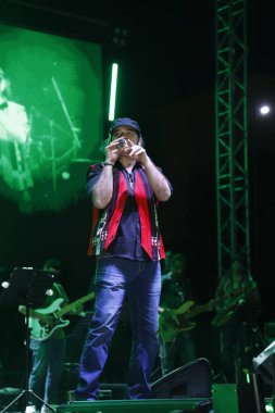 NEW DELHI, INDIA - 28 Mart 2025: Bollywood şarkıcısı Mohit Chauhan, Hindistan 'ın Yeni Delhi kentinde 28 Mart 2025 tarihinde Indira Gandhi Delhi Teknik Üniversitesi' nin yıllık kültür festivalinde sahne aldı..