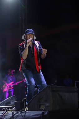 NEW DELHI, INDIA - 28 Mart 2025: Bollywood şarkıcısı Mohit Chauhan, Hindistan 'ın Yeni Delhi kentinde 28 Mart 2025 tarihinde Indira Gandhi Delhi Teknik Üniversitesi' nin yıllık kültür festivalinde sahne aldı..