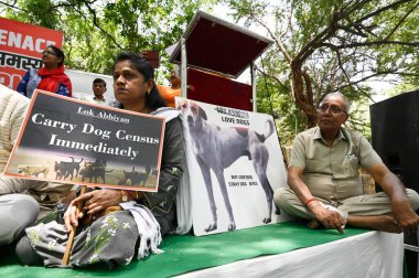 NEW DELHI, INDIA - 27 Nisan: Köpek severler, 27 Nisan 2025 'te Jantar Mantar' da, BJP lideri Vijay Goel 'in dharna protestosu sırasında sokak köpeği ısırığı olaylarının arttığını vurgulayarak, yetkililerden daha güçlü bir eylem çağrısında bulundu. 