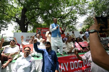NEW DELHI, INDIA - APRIL 27: BJP lideri Vijay Goel ve RWA / STK temsilcileri, 27 Nisan 2025 tarihinde Jantar Mantar 'da sokak köpeği ısırığı olaylarının arttığını vurgulayan, yetkililerden daha güçlü eylem çağrısı yapan bir Dharna protestosu düzenlediler.