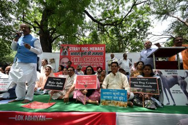 NEW DELHI, INDIA - APRIL 27: BJP lideri Vijay Goel ve RWA / STK temsilcileri, 27 Nisan 2025 tarihinde Jantar Mantar 'da sokak köpeği ısırığı olaylarının arttığını vurgulayan, yetkililerden daha güçlü eylem çağrısı yapan bir Dharna protestosu düzenlediler.
