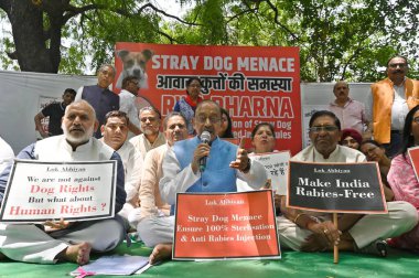 NEW DELHI, INDIA - APRIL 27: BJP lideri Vijay Goel ve RWA / STK temsilcileri, 27 Nisan 2025 tarihinde Jantar Mantar 'da sokak köpeği ısırığı olaylarının arttığını vurgulayan, yetkililerden daha güçlü eylem çağrısı yapan bir Dharna protestosu düzenlediler.