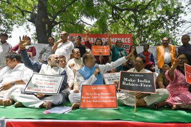 NEW DELHI, INDIA - APRIL 27: BJP lideri Vijay Goel ve RWA / STK temsilcileri, 27 Nisan 2025 tarihinde Jantar Mantar 'da sokak köpeği ısırığı olaylarının arttığını vurgulayan, yetkililerden daha güçlü eylem çağrısı yapan bir Dharna protestosu düzenlediler.