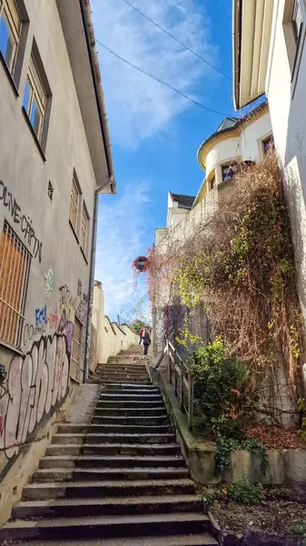 Bratislava Eski Şehir Sokağı Scene-Bratislava Eski Şehir Slovakya 'nın başkentinin tarihi kalbidir. Bu pitoresk alan tarih, mimari ve kültür açısından zengindir. Geçmişe büyüleyici bir bakış sunar..