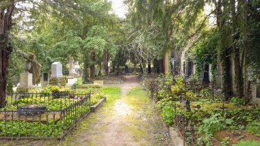 Keçi Kapısı yakınlarındaki mezarlık Bratislava, Slovakya 'daki tarihi mezarlıklardan biridir. Adını, Bratislava 'nın tahkimatlarındaki eski kapılardan biri olan Keçi Kapısı' na olan yakınlığından almıştır..