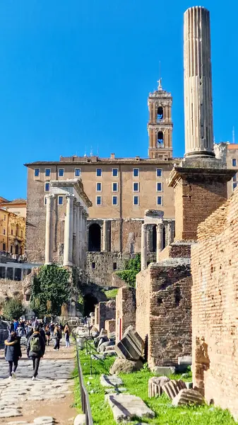 stock image Roman Forum-The Roman Forum is one of the most important archaeological sites in Rome, Italy. It was the center of public life in ancient Rome and played a pivotal role in the city's history, politics, and culture.