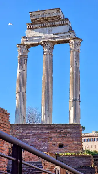 Castor Tapınağı ve Pollux-Roma Forumu. Roma Forumu İtalya 'nın Roma kentindeki en önemli arkeolojik alanlardan biridir. Antik Roma 'da kamusal yaşamın merkeziydi ve şehrin tarihi, siyaseti ve kültüründe önemli bir rol oynadı..