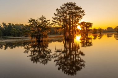 Alabama 'daki Gantt Gölü' nün manzarası. Bu göl kayık, balıkçılık, yüzme ve çeşitli eğlence aktiviteleri için kullanılır..