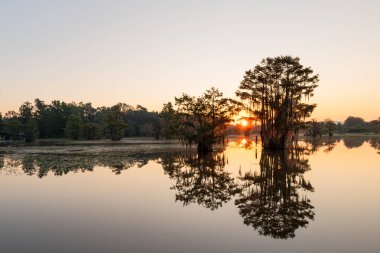 Alabama 'daki Gantt Gölü' nün manzarası. Bu göl kayık, balıkçılık, yüzme ve çeşitli eğlence aktiviteleri için kullanılır..