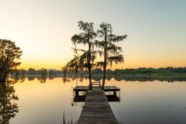 Alabama 'daki Güzel Gantt Gölü' nde bir tekne iskelesinin manzarası. Bu göl kayık, balıkçılık, yüzme ve çeşitli eğlence aktiviteleri için kullanılır..