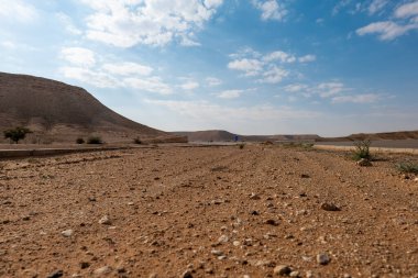 Suudi Arabistan 'da Çöl Manzarası