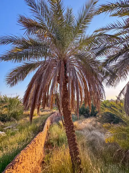 Suudi Arabistan 'daki Ushaiqer Miras Köyü' nün manzara fotoğrafı. Ushaiqer Heritage Village, Riyad 'ın yaklaşık 200 km kuzeybatısında yer almaktadır ve bölgenin en eski köylerinden biridir..