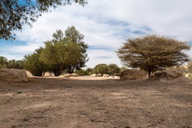 Suudi Arabistan, Riyad 'da Wadi Hanifa yakınlarında bir park alanı. Kuzeybatıdan güneydoğuya doğru yaklaşık 120 kilometre uzanan, Suudi Arabistan 'ın Riyad kentinden geçen önemli bir doğal vadidir..