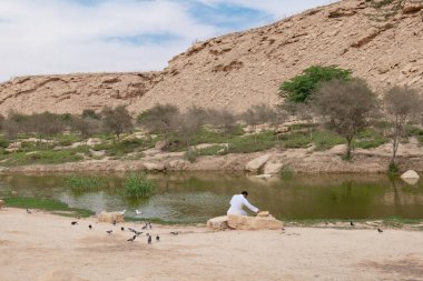 Suudi Arabistan, Riyad 'da Wadi Hanifa yakınlarında ördekleri besleyen yerel bir Suudi..