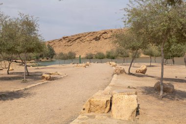 Suudi Arabistan, Riyad 'da Wadi Hanifa yakınlarında bir park alanı. Kuzeybatıdan güneydoğuya doğru yaklaşık 120 kilometre uzanan, Suudi Arabistan 'ın Riyad kentinden geçen önemli bir doğal vadidir..