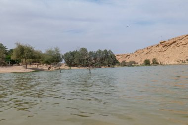 Vadi Hanifa, Riyad, Suudi Arabistan. Kuzeybatıdan güneydoğuya doğru yaklaşık 120 kilometre uzanan, Suudi Arabistan 'ın Riyad kentinden geçen önemli bir doğal vadidir..