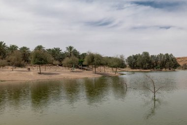 Vadi Hanifa, Riyad, Suudi Arabistan. Kuzeybatıdan güneydoğuya doğru yaklaşık 120 kilometre uzanan, Suudi Arabistan 'ın Riyad kentinden geçen önemli bir doğal vadidir..