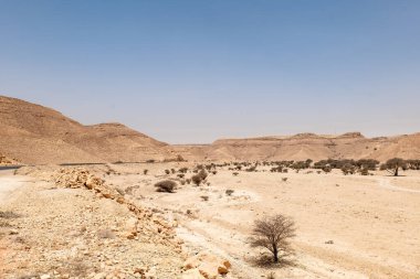 Suudi Arabistan 'ın Riyad yakınlarındaki çöl manzarası geniş ve açık arazi ve kaya oluşumlarını gösteriyor. Bu resim doğal manzaranın sessiz güzelliğini yakalar..