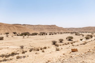 Suudi Arabistan 'ın Riyad yakınlarındaki çöl manzarası geniş ve açık arazi ve kaya oluşumlarını gösteriyor. Bu resim doğal manzaranın sessiz güzelliğini yakalar..