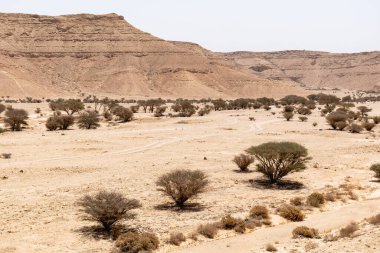 Suudi Arabistan 'ın Riyad yakınlarındaki çöl manzarası geniş ve açık arazi ve kaya oluşumlarını gösteriyor. Bu resim doğal manzaranın sessiz güzelliğini yakalar..