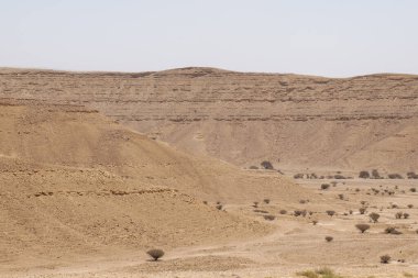 Suudi Arabistan 'ın Riyad yakınlarındaki çöl manzarası geniş ve açık arazi ve kaya oluşumlarını gösteriyor. Bu resim doğal manzaranın sessiz güzelliğini yakalar..