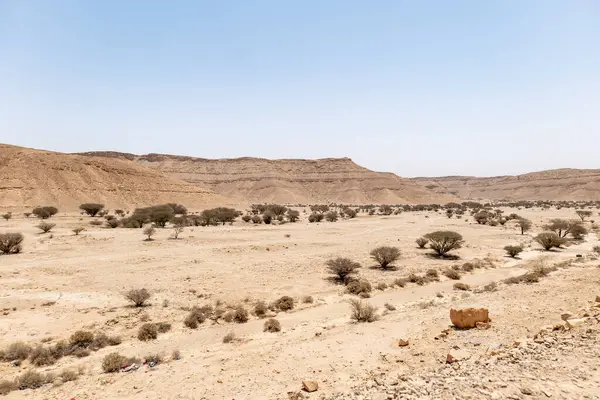 Suudi Arabistan 'ın Riyad yakınlarındaki çöl manzarası geniş ve açık arazi ve kaya oluşumlarını gösteriyor. Bu resim doğal manzaranın sessiz güzelliğini yakalar..