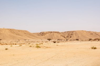 Suudi Arabistan 'ın Ad-Dilam Alanında Manzaralı Çöl Manzarası 