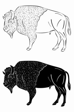 Bufalonun izole edilmiş bir tasviri. siyah ve beyaz vektör çizimi, beyaz arkaplan 