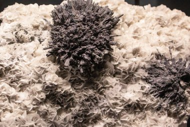 Siyah zemin üzerinde iğneler olan siyah beyaz bir taş. Mineral taşından duvar kağıdı. Cilalanmamış ham değerli taş dokusu yatay yakın plan fotoğrafı. Sülföz