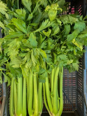 Açık uzay pazarında taze sebze ve sebzeler. Maydanoz
