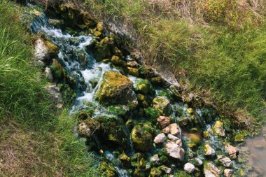 Gündüz vakti ormanda akarsu. Kayalıklardaki küçük şelalelerin doğal arka planı yosunlarla çevrili.