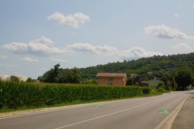 Kırsal kesimde yol ve mısır tarlaları güneşli bir günde mavi gökyüzünde bulutlu arka planda ve evle
