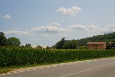 Kırsal kesimde yol ve mısır tarlaları güneşli bir günde mavi gökyüzünde bulutlu arka planda ve evle