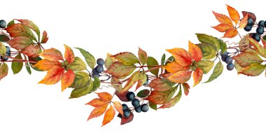 Sonbahar eğrisi suluboya doku yaprağı ve böğürtlen ile sınırsız. Gerçekçi güz çiçekleri ve yapraklarla el çizimi düzenlemeler. Bitkisel sonsuz kart şablonu ve çerçeve tasarımı için mükemmel.