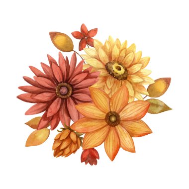 Kırmızı Aster ve turuncu Rudbeckia ile sonbahar çiçeği suluboya vektör düzenleme. Altın ve sessiz renklerde elle çizilmiş çiçek buketi. Sonbahar botanik daveti ve tebrik kartı tasarımı için mükemmel..