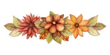 Aster ve Rudbeckia ile sonbahar çiçeği suluboya vektör düzenlemesi. Elle çizilmiş çiçek buketi, soluk renklerle çiçek açıyor. Sonbahar davetiyesi ve tebrik kartı tasarımı için mükemmel.