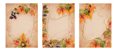 Sonbahar kartı şablonu, altın çizgili ve bej arkaplanlı dikey botanik resimleme seti. Canlı yapraklı el yapımı suluboya. Mevsimlik sonbahar davetiyesi ve tebrik kartı için ideal.