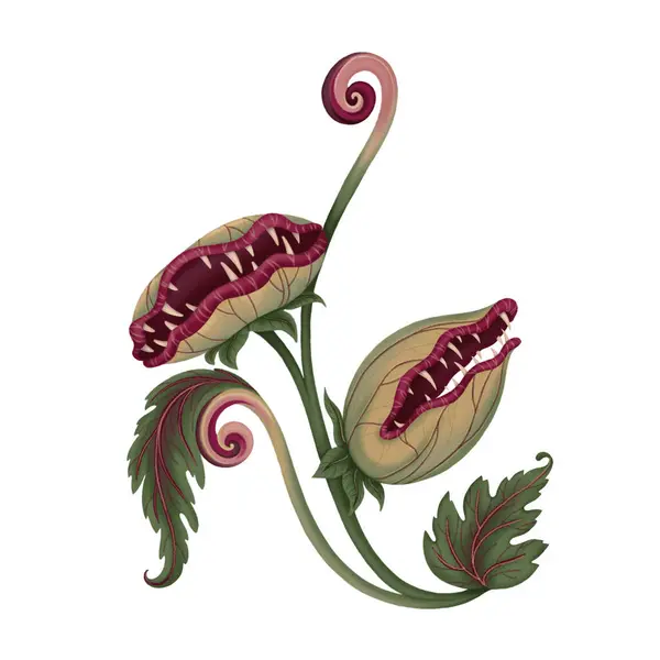 stock image Carnivorous plant curved green monster in cartoon style. Hand drawn Halloween Venus flytrap character with toothy grin. Perfect for autumn label and spooky season card design.