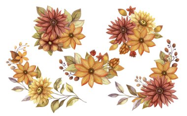 Ayçiçeği ve Aster ile sonbahar çiçeği suluboya düzenlemesi. Elle çizilmiş çiçek buketi altın ve soluk renklerle çiçeklenir. Sonbahar botanik daveti ve tebrik kartı tasarımları için mükemmel.