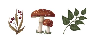 Set of three botanical element in cartoon style. Hand drawn fly agaric mushroom and twig of leaves and berries. Forest drawing perfect for autumn illustration and spooky season greeting card design.