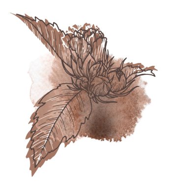 Çiçek aranjmanı yılın 2025 renginde Mocha Mousse. Suluboya lekeli ve sıcak kahverengi tonlu el çizimi çiçek. Moda grafik kaynağı ve stil tasarımı yaratmak için mükemmel.